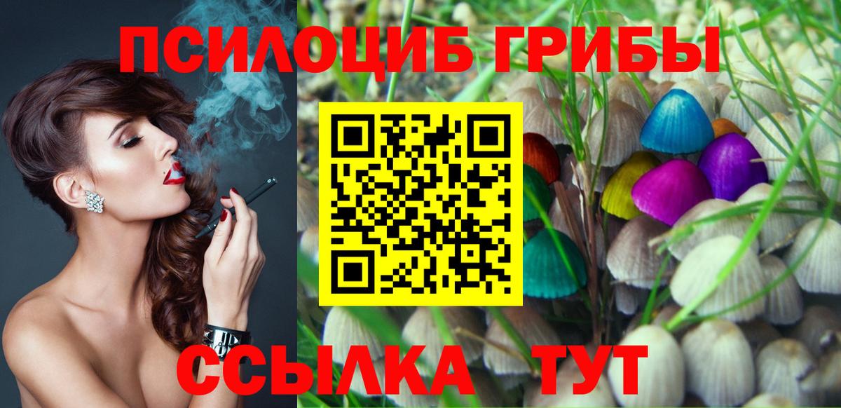 как найти   Вход с VPN  Ликино-Дулёво  Галлюциногенные грибы GOLDEN TEACHER 
